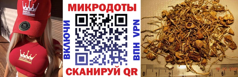 Псилоцибиновые грибы Psilocybe Петров Вал